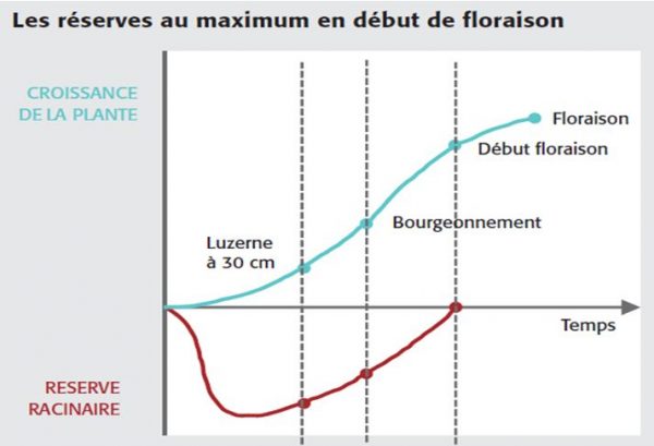 Graph Luzerne