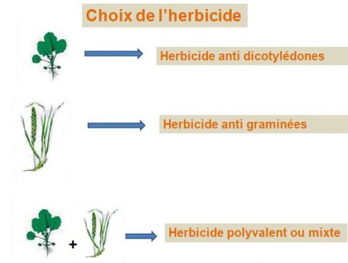 le choix de l'herbicide