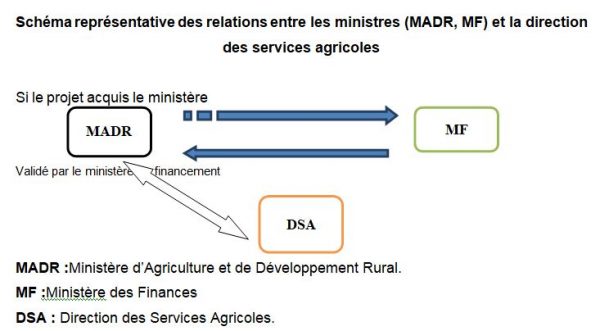 Schéma représentative des relations entre les ministres (MADR, MF) et la direction des services agricoles