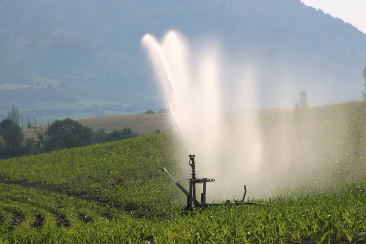 irrigation agricole